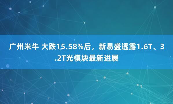 广州米牛 大跌15.58%后，新易盛透露1.6T、3.2T光模块最新进展