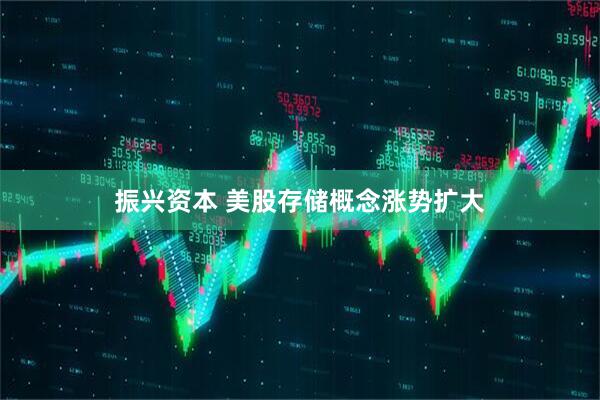 振兴资本 美股存储概念涨势扩大