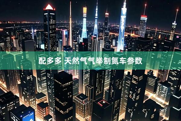 配多多 天然气气举制氮车参数