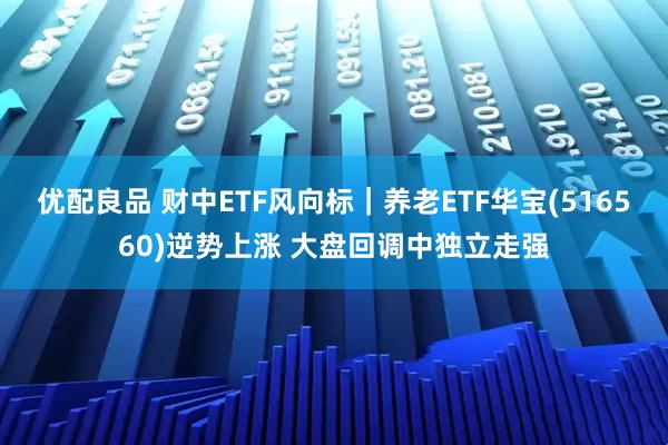 优配良品 财中ETF风向标｜养老ETF华宝(516560)逆势上涨 大盘回调中独立走强